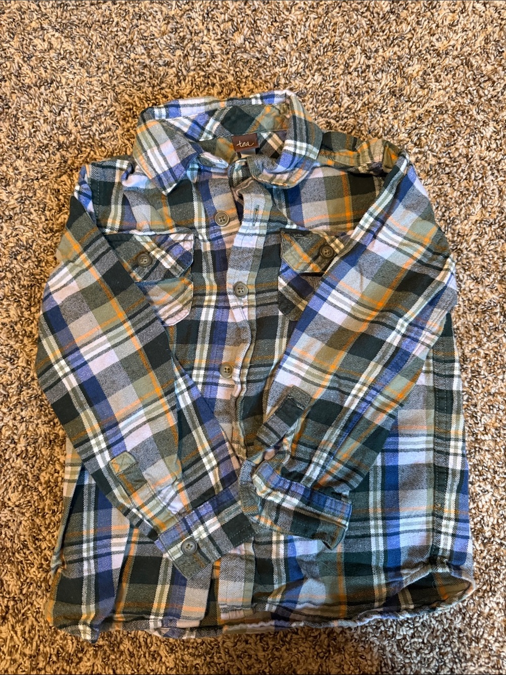 Tea Collection Green, Blue & Cream Plaid Button-Down Shirt for Kids